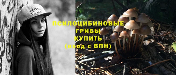 дурь Новокубанск