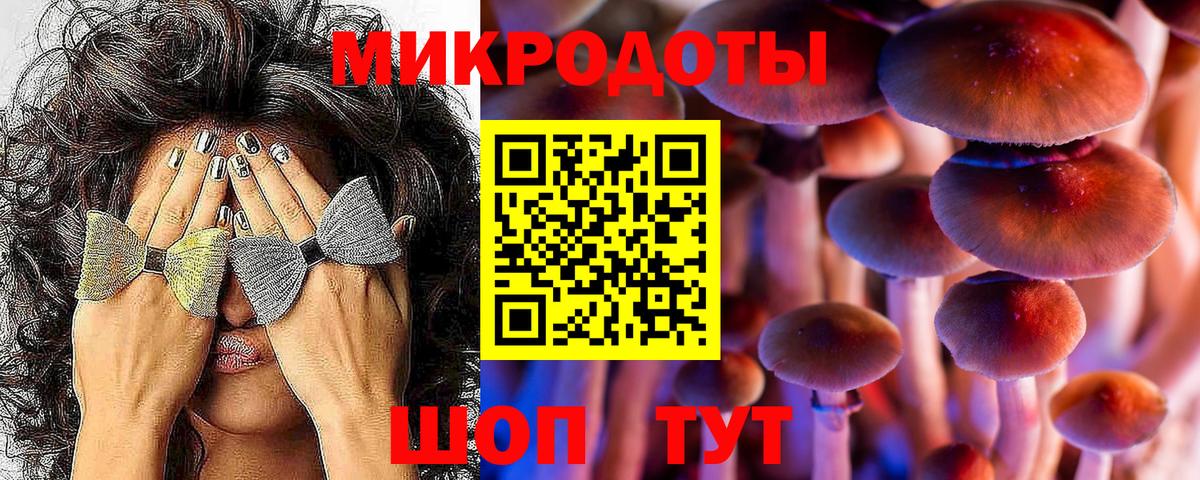 Псилоцибиновые грибы Psilocybine cubensis  цена наркотик  Ковров  Вход с VPN 