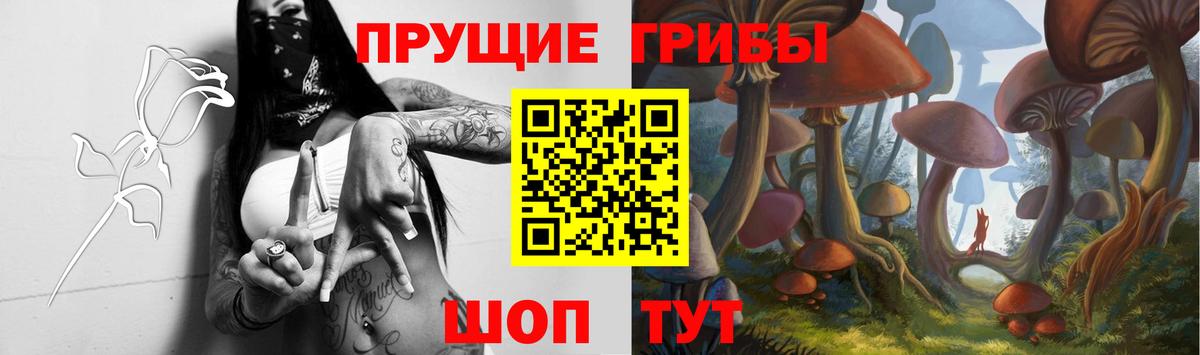 Псилоцибиновые грибы Psilocybe Ковров